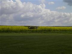PICT1834.JPG